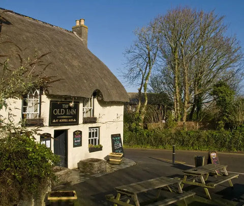 Dog Friendly Pub In Mullion Cornwall