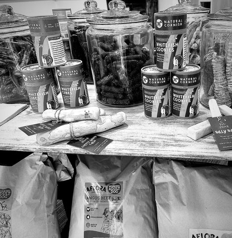 Natural Pet Shop Hayle, Cornwall