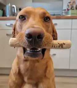 Wooden pet stick toy with brown and white stripes, featuring a paw print design.