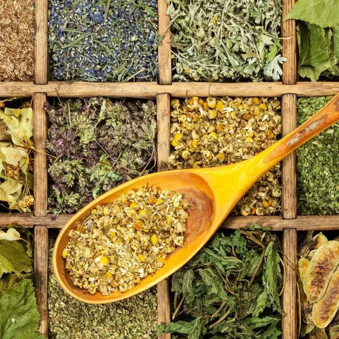 A Selection of Medicinal Herbs