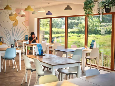 Dog Friendly Cafe in Cornwall