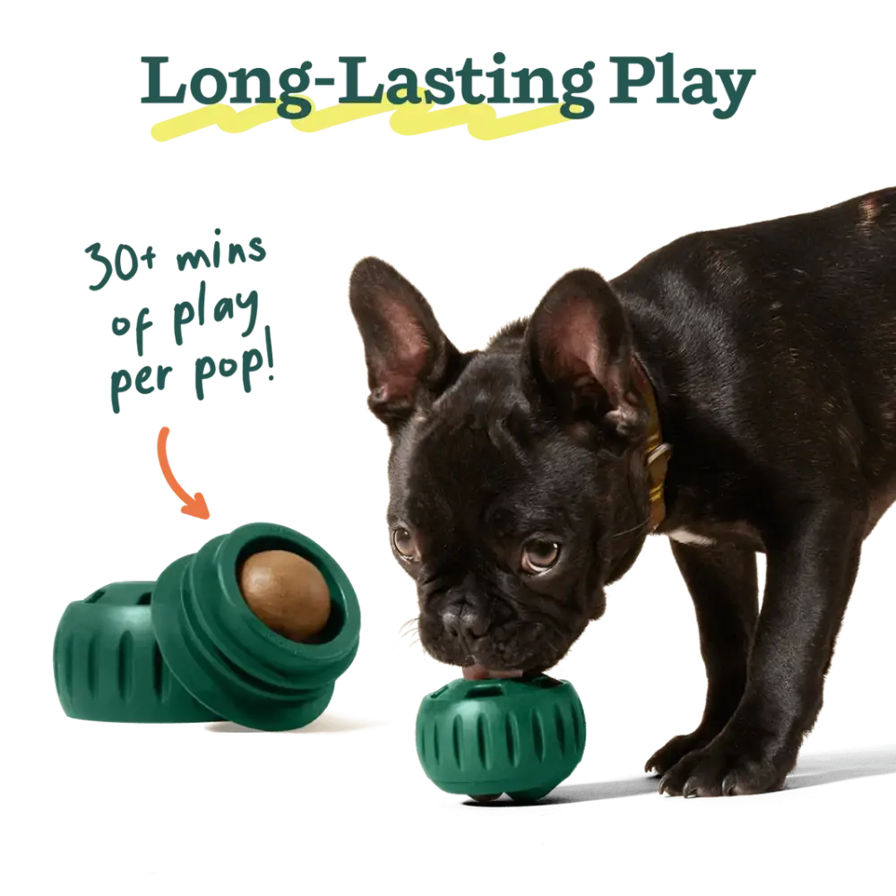 Woof Pupsicle Peanut Butter & Banana Refills - Dog Enrichment Treats - Natural Treats For Dogs