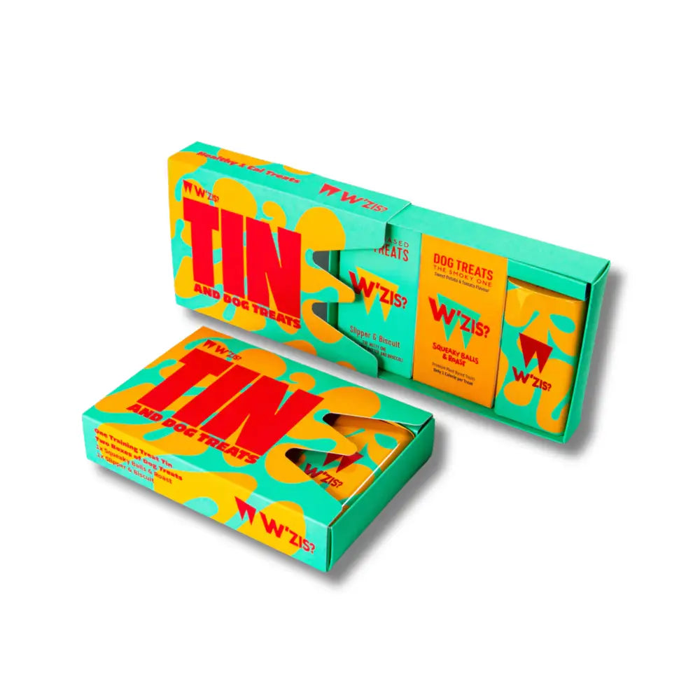 Wzis Green Training Tin Gift Box with Colorful Splatter Design