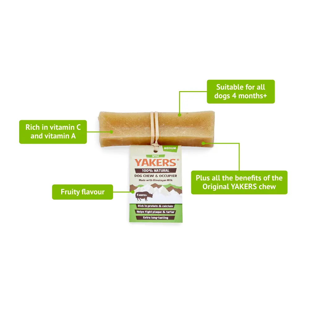 Yakers Apple Dog Chews: fruity, vitamin C-rich treat from popular Yakers range