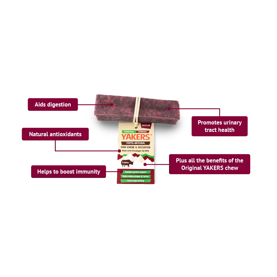 Yakers Cranberry Dog Chew | Natural chew for dogs
