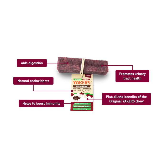 Yakers Cranberry Dog Chew | Natural chew for dogs