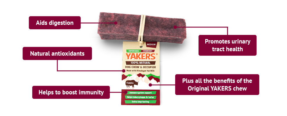 Yakers Cranberry Dog Chew | Natural chew for dogs