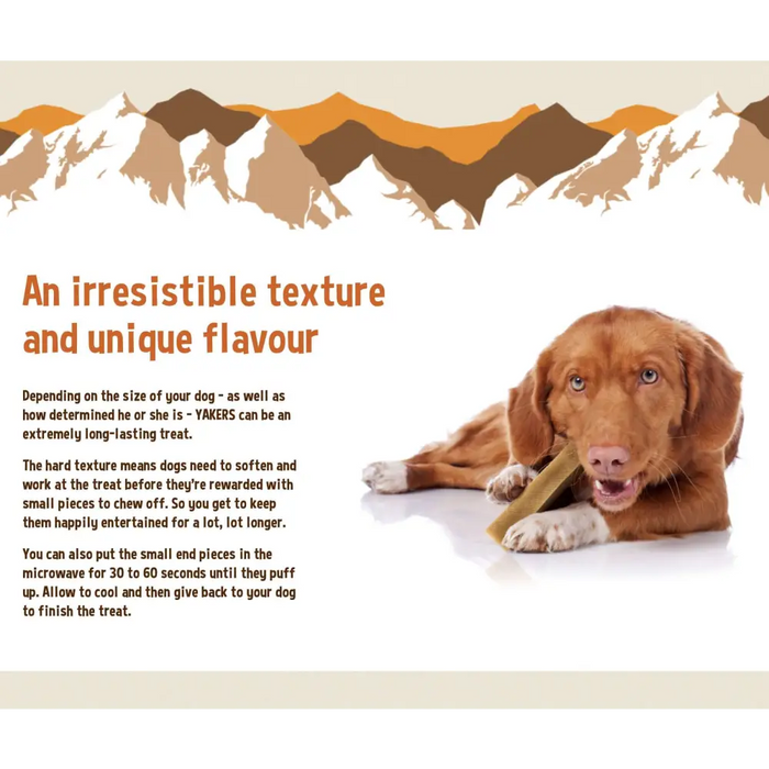 A dog chews a Yakers Chew for Dogs and looks intently into the camera. Next to the dog is information about the product