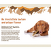 A dog chews a Yakers Chew for Dogs and looks intently into the camera. Next to the dog is information about the product