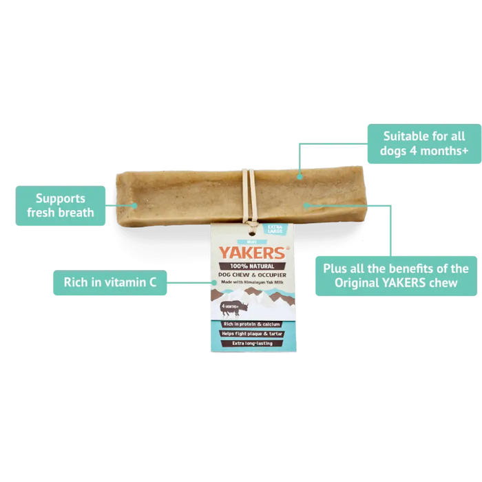 Yakers Mint Dog Chew sits on a white background surrounded by graphics of benefits of the products