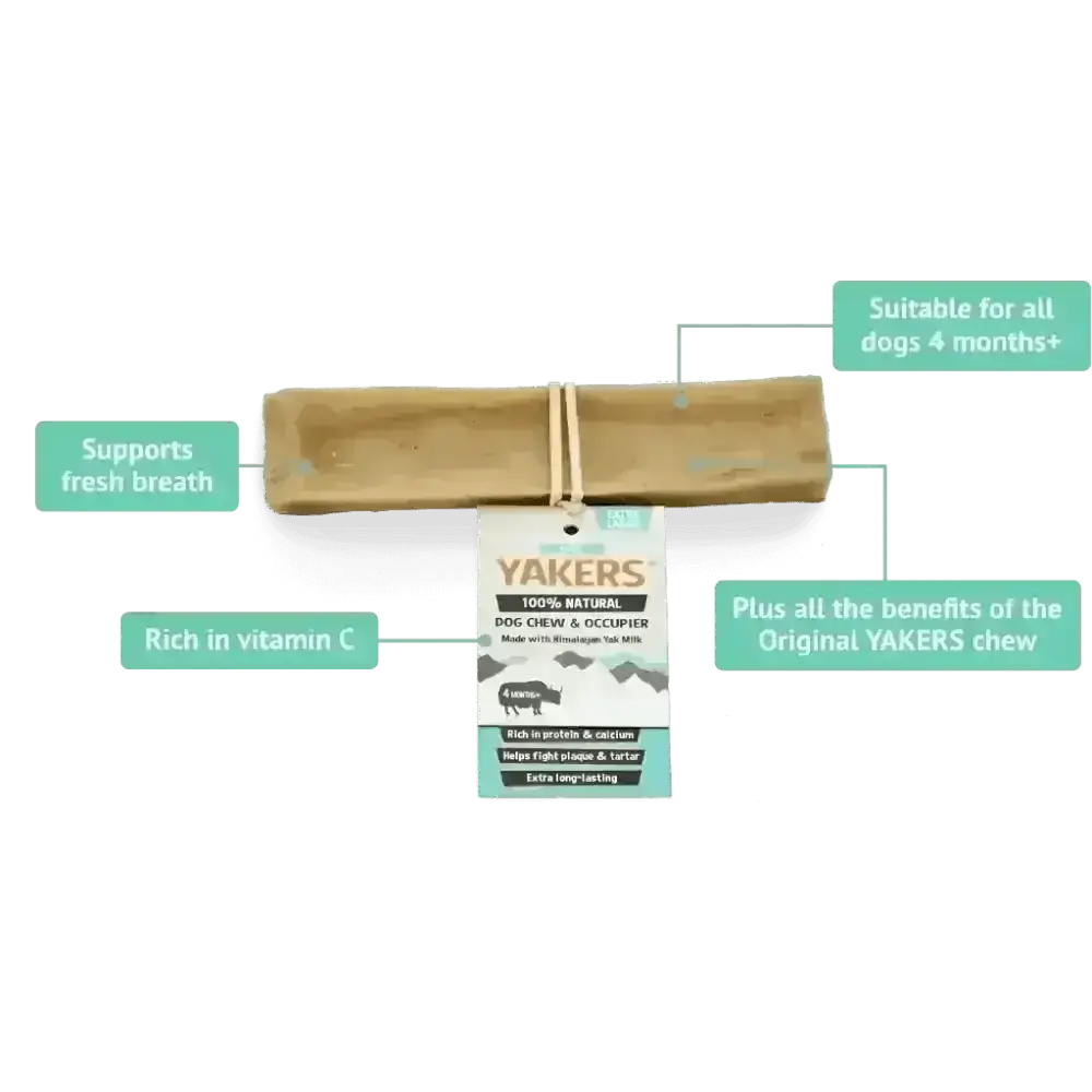 Yakers Mint Dog Chew with natural yakers, brown leather design, vitamin C, fresh breath