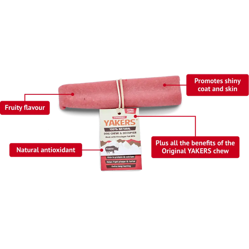 An XL Strawberry Yaker sits on a white background and is surrounded by information about the chew