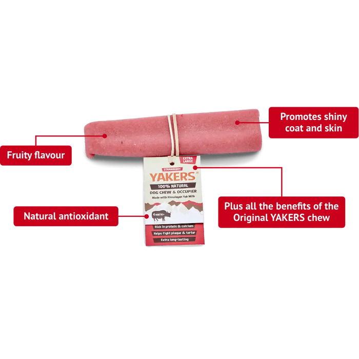 An XL Strawberry Yaker sits on a white background and is surrounded by information about the chew