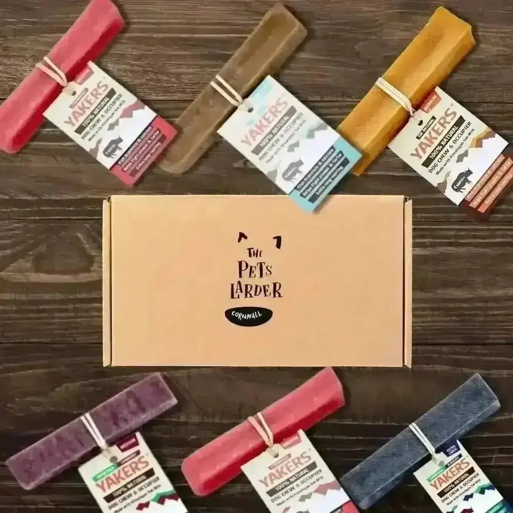 Pet chew toy box with colorful rolled treats from The Pets Larder, ideal for Yakers medium long lasting bundle