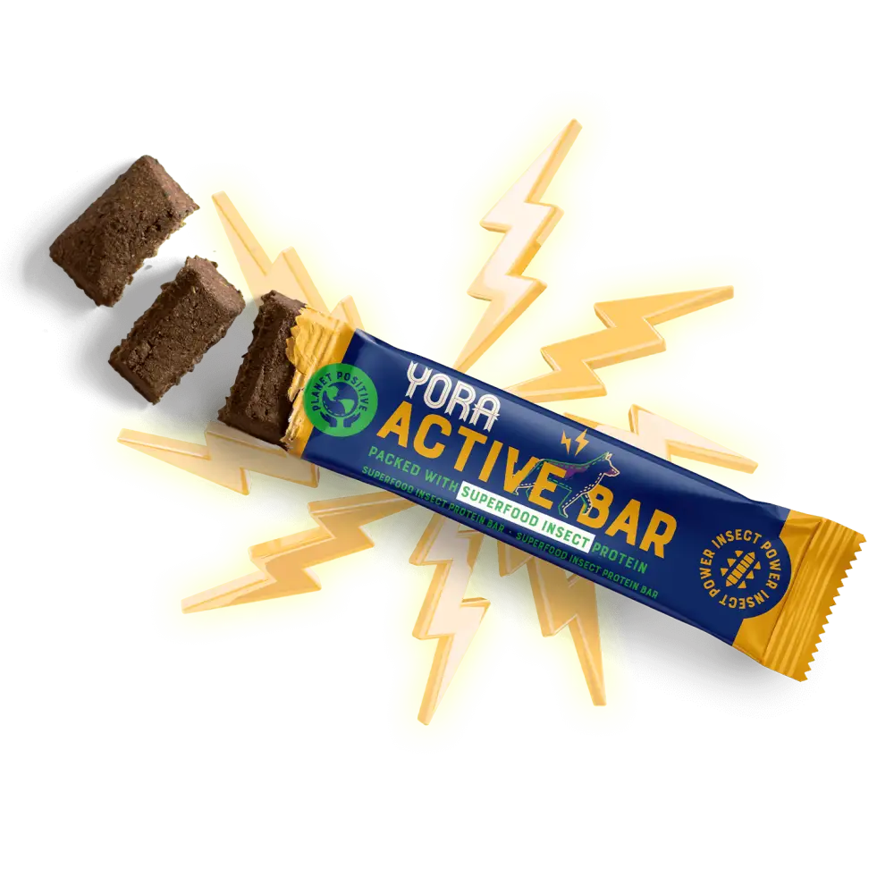 YORA Dog Active Bar 35g - Insect dog treat