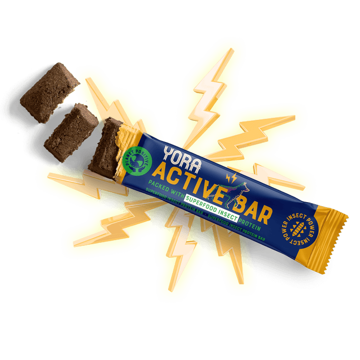 YORA Dog Active Bar 35g - Insect dog treat