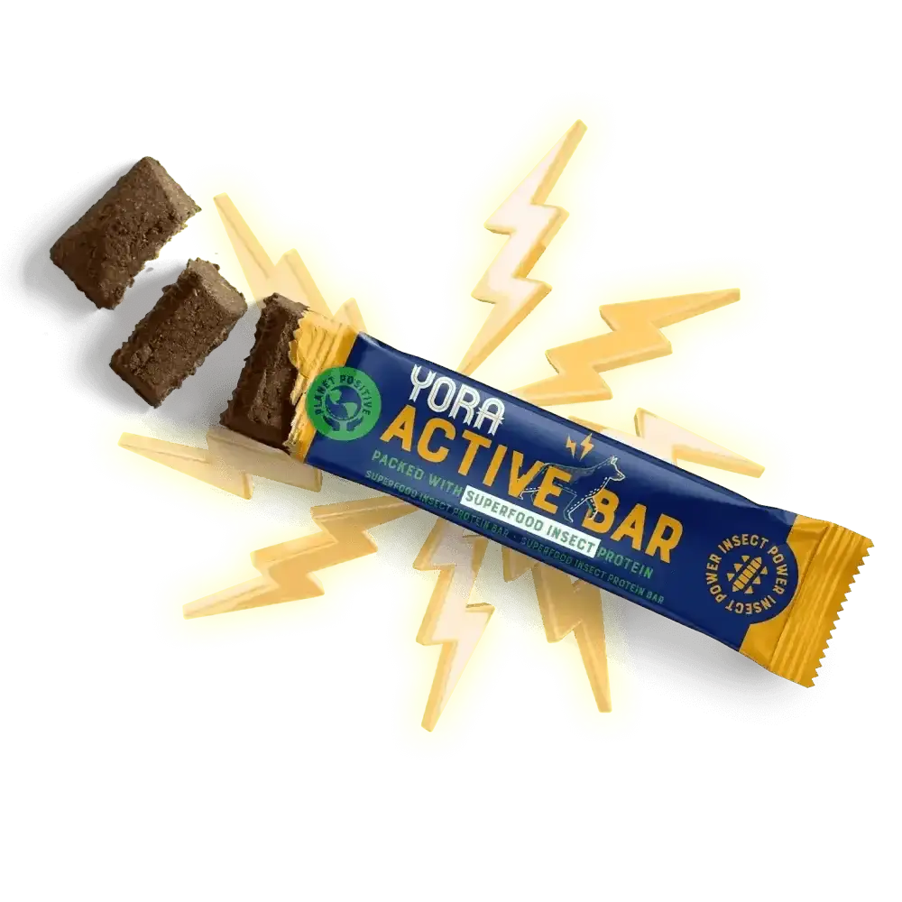 Yora Dog Active Bar 35g with Hermetia Illucens Larvae Protein