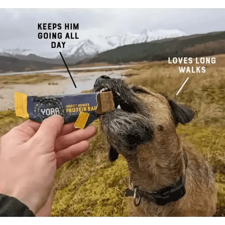 YORA Dog Active Bar 35g with Hermetia Illucens Larvae, Protein Perfect Soft Baked Texture