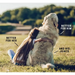 YORA Dog Adult Large Breed - Insect dog food.