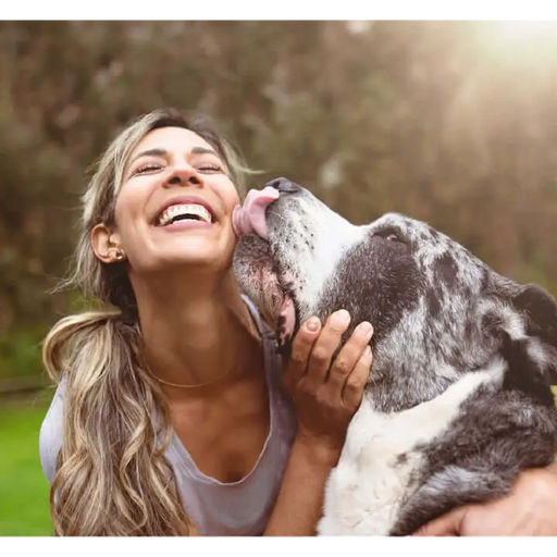 YORA Dog Adult Large Breed - Insect dog food.