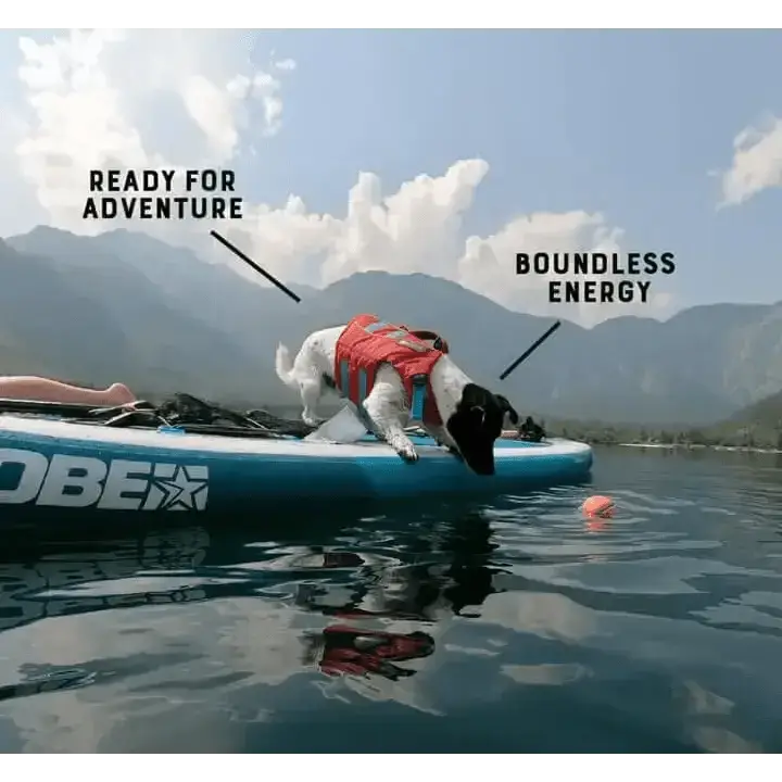 Blue and white inflatable paddleboard with Obei logo for Yora Dog Adult Small Breed
