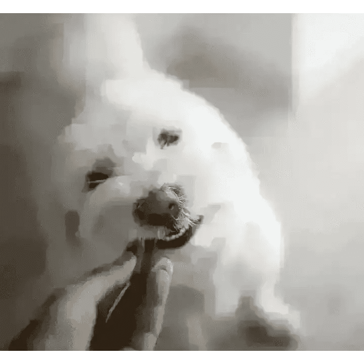YORA Dog Dental Sticks Small 56g with textured white fluffy insect protein treat for fresh breath