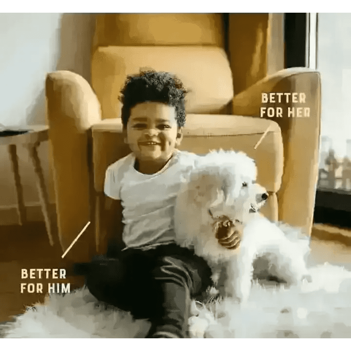 White fluffy dog with curly tail sitting on fur rug using YORA Dog Dental Sticks for fresh breath