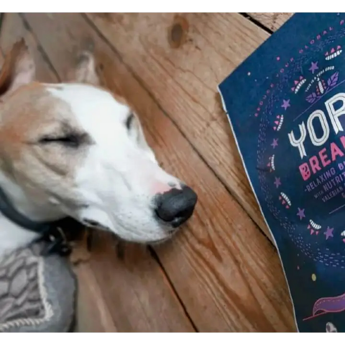 YORA Dog Dreamers 100g - Insect Dog Treats.