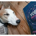 YORA Dog Dreamers 100g - Insect Dog Treats.