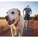 YORA Dog Light/Senior - Insect dog food.
