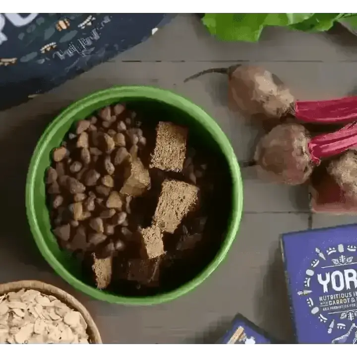 Yora Dog Pate Carrot and Potato with crunchy Yorkie treats in green bowl