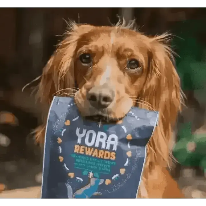 YORA Dog Rewards Carrot and Apple treat bag with colorful heart and paw print design featuring delicious soft-baked insect ingredients