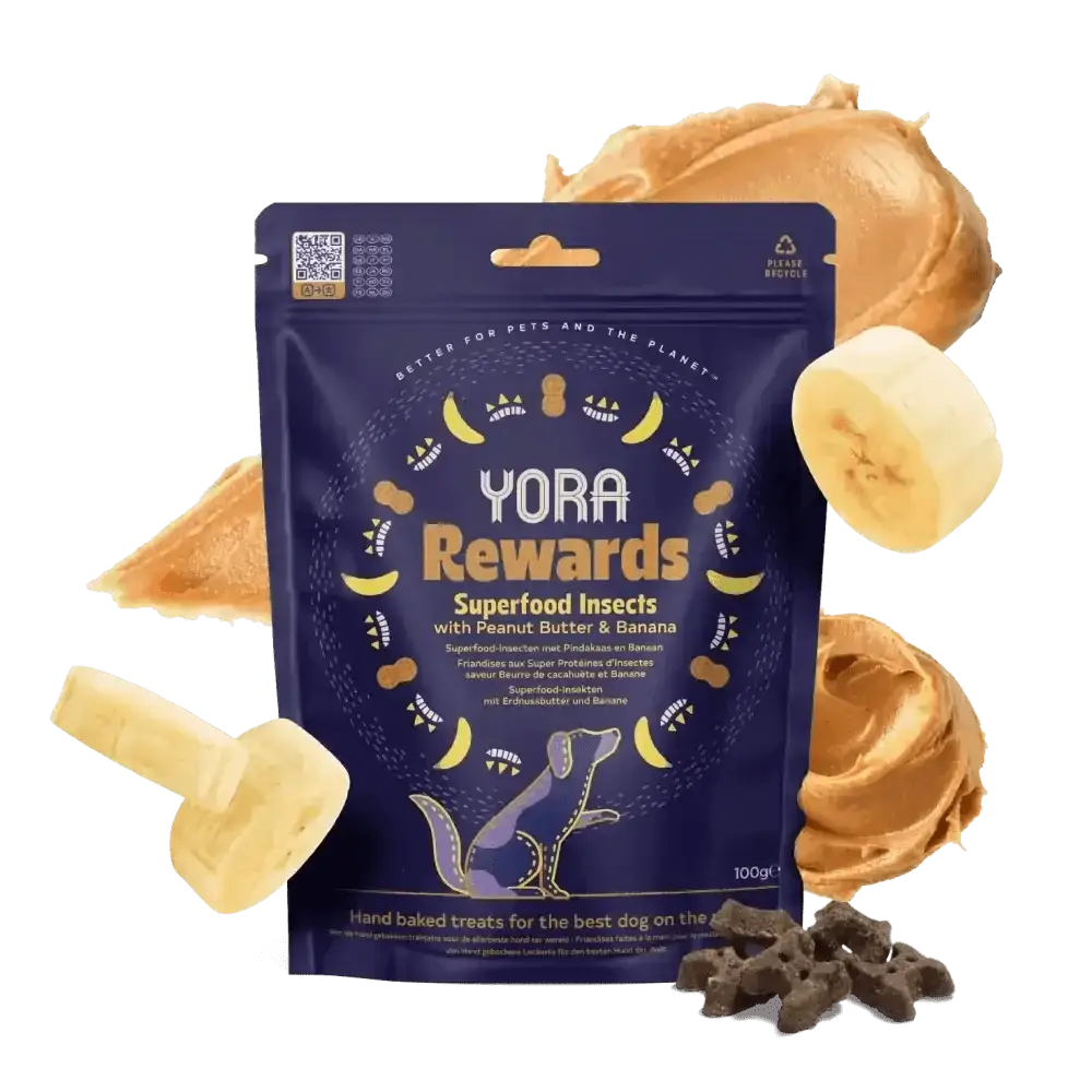 Yora Rewards soft-baked insect protein dog treats, peanut butter banana, 100g purple bag