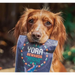 A dog stares intently into the camera with a bag of YORA Rewards in its mouth