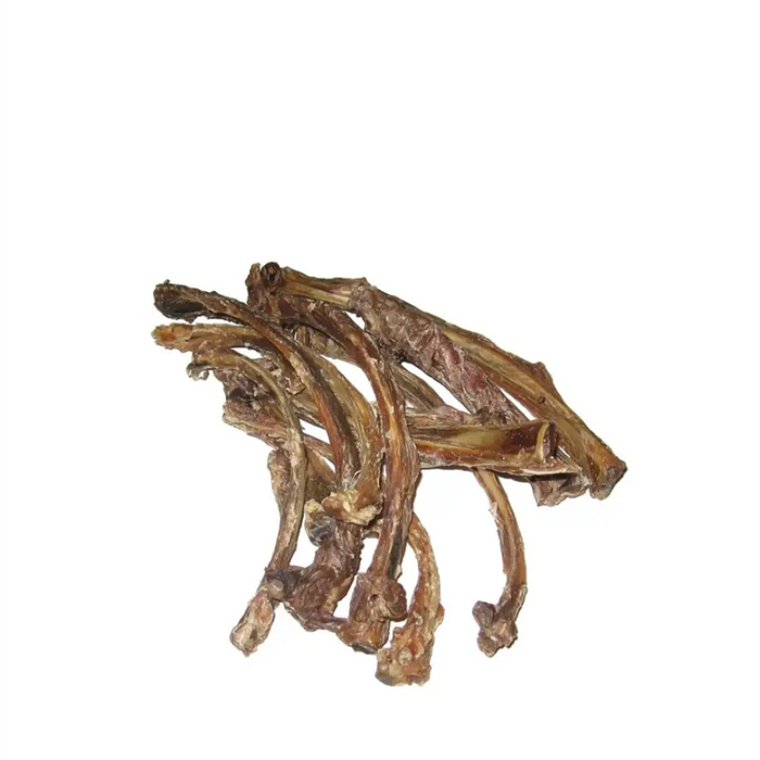 Dried animal bones on a white background