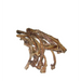 Dried animal bones on a white background