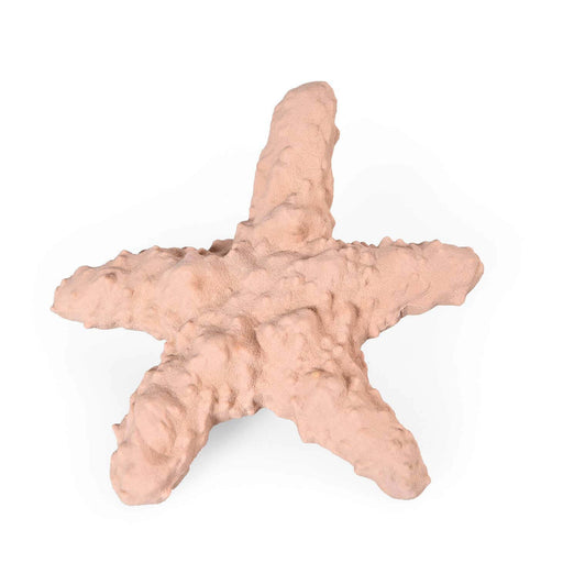 Recycled Rubber Starfish Dog Treat Toy