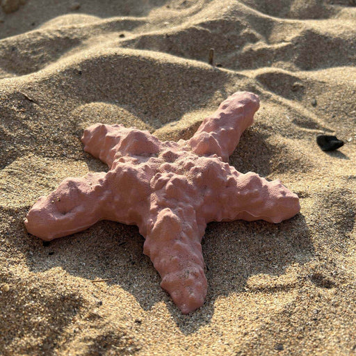 Recycled Rubber Starfish Dog Treat Toy