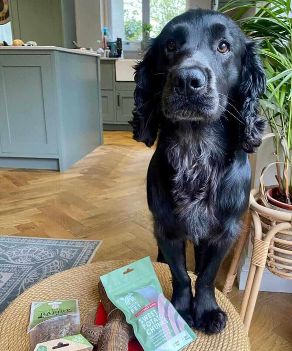 Natural Cornish Pet - Monthly Treat Subscription Box for Dogs Dog Treats Natural Cornish Pet